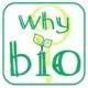Why Bio?